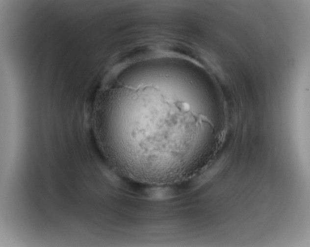 X0000114600273200910191624