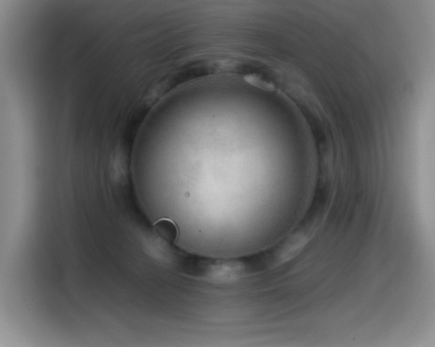 X0000114600274200910191624