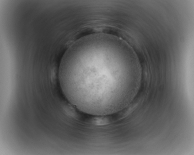 X0000114600275200910191624