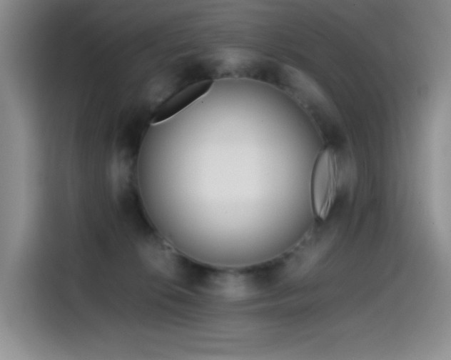 X0000114600276200910191624