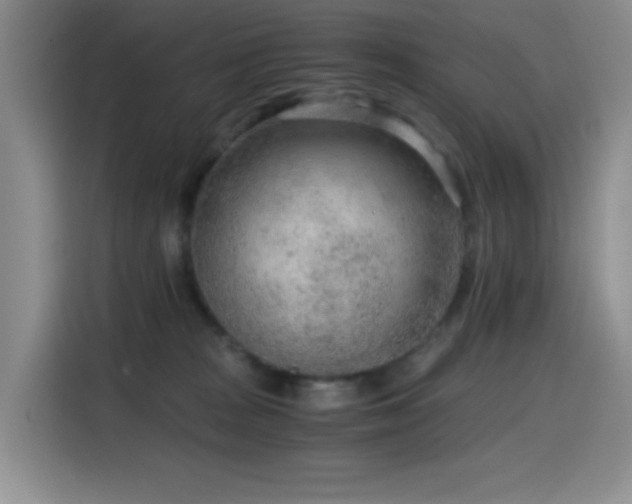 X0000114600277200910191624