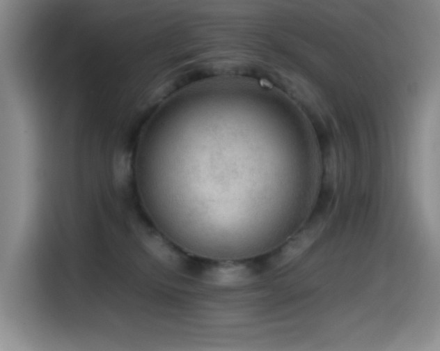 X0000114600278200910191624