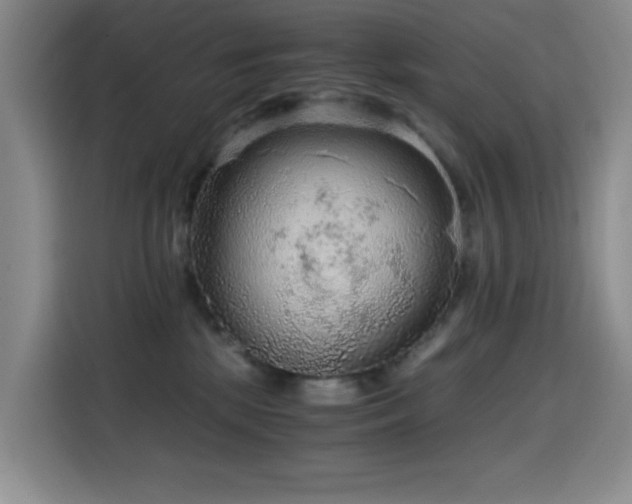 X0000114600281200910191624