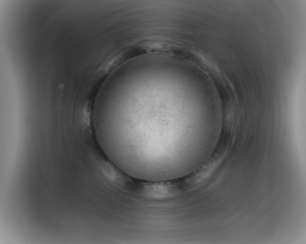 X0000114600282200910191624