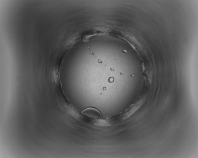 X0000114600285200910191624