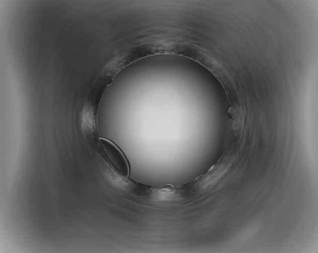 X0000114600287200910191624