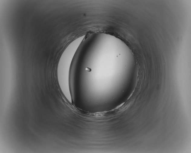 X0000114600288200910191624