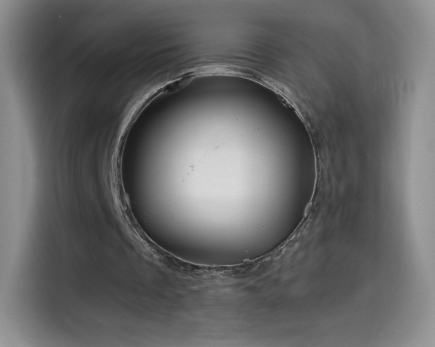 X0000114600289200910191624