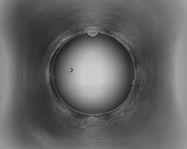 X0000114600290200910191624