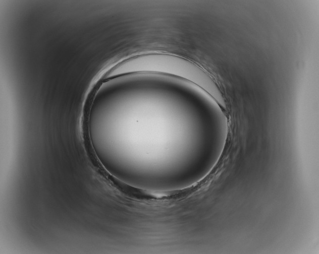 X0000114600292200910191624