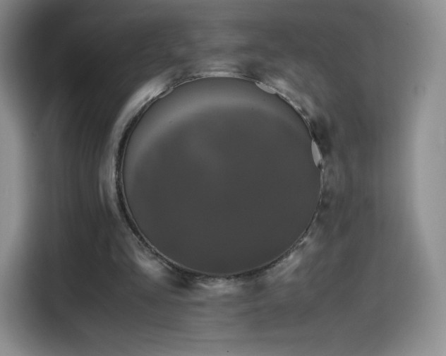 X0000114600293200910191624