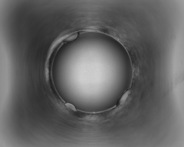 X0000114600294200910191624