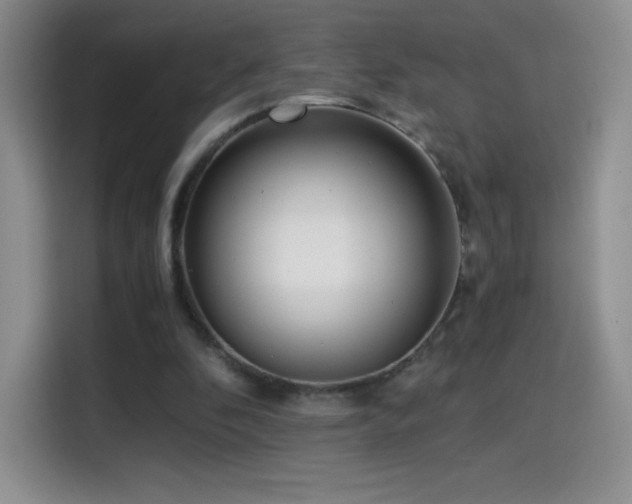 X0000114600296200910191624