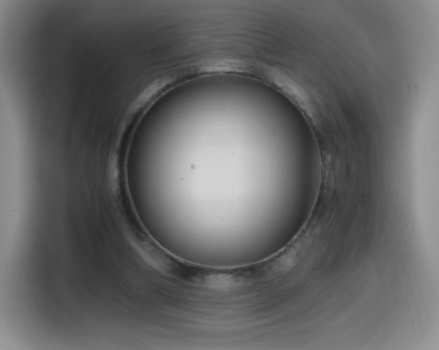 X0000114600298200910191624