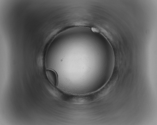 X0000114600299200910191624