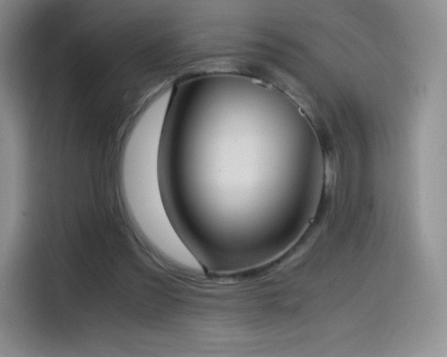 X0000114600301200910191624