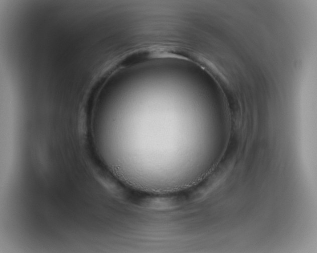 X0000114600303200910191624