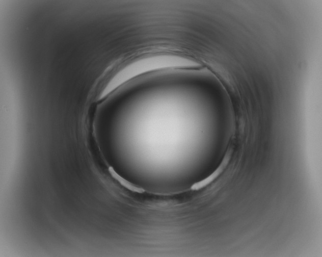 X0000114600304200910191624