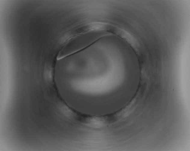 X0000114600305200910191624