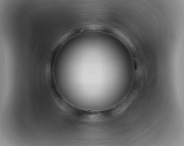 X0000114600306200910191624