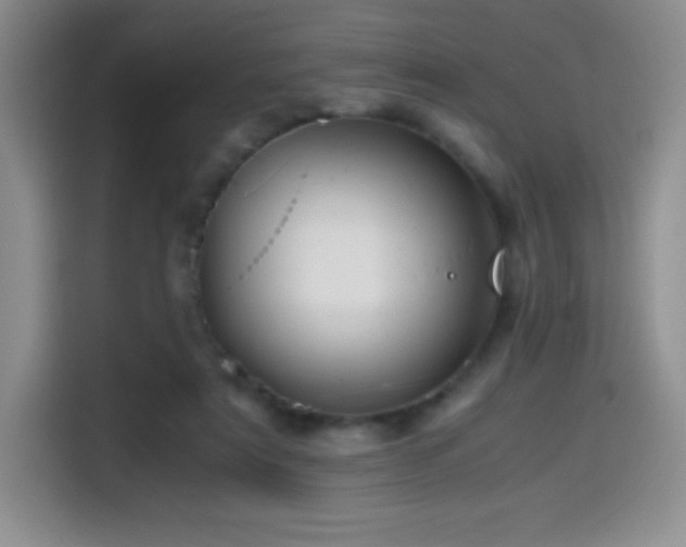 X0000114600307200910191624