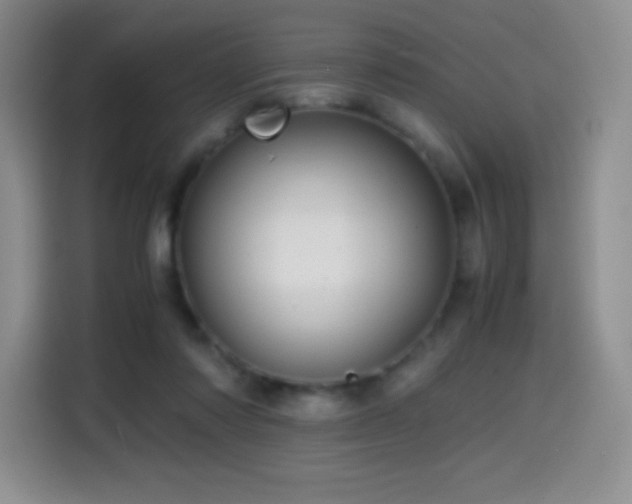 X0000114600310200910191624