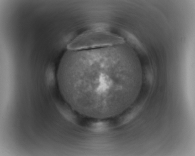 X0000114600312200910191624