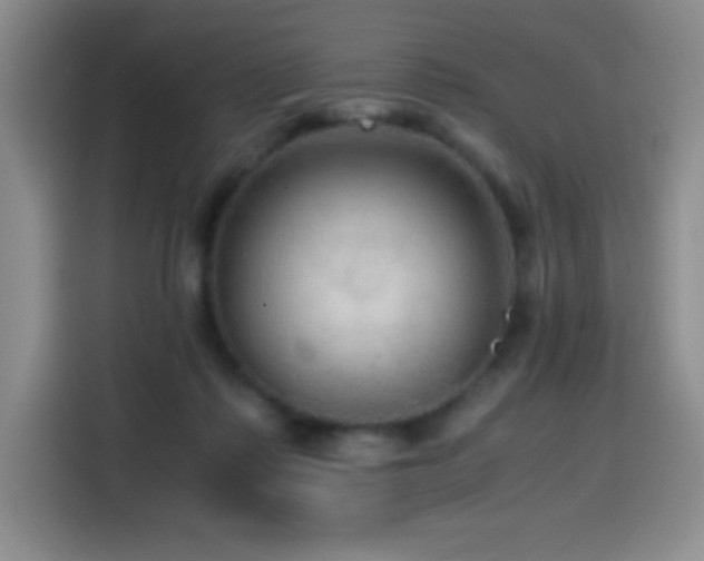 X0000114600315200910191624