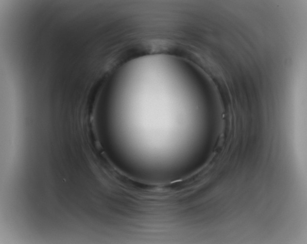 X0000114600316200910191623