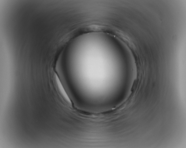 X0000114600317200910191623