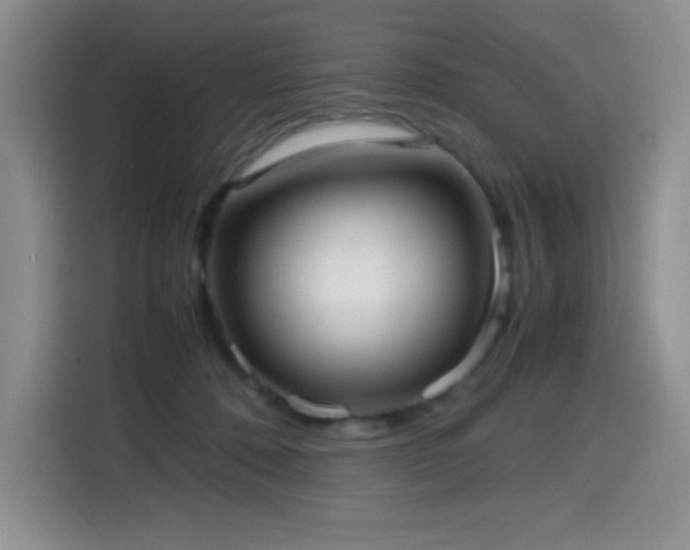 X0000114600320200910191623