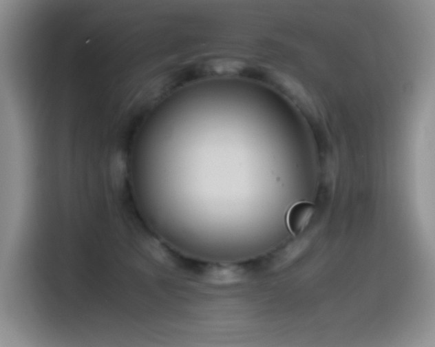 X0000114600321200910191623