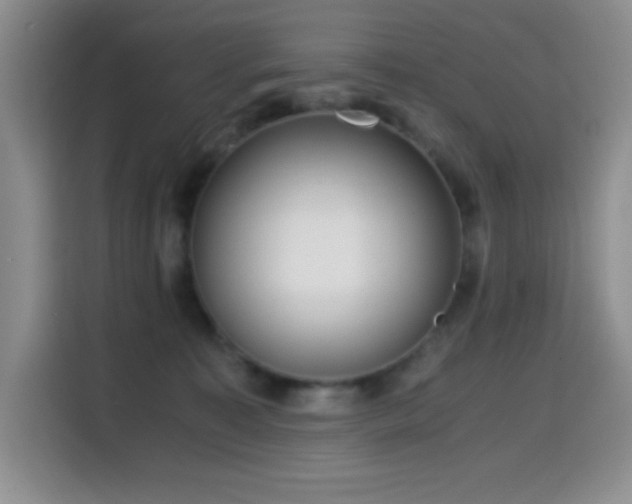 X0000114600323200910191623