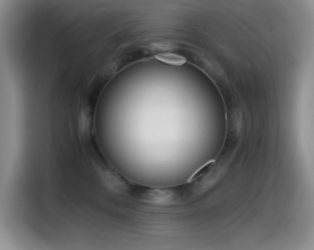 X0000114600328200910191623