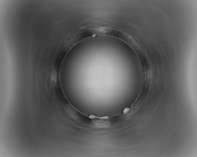 X0000114600331200910191623