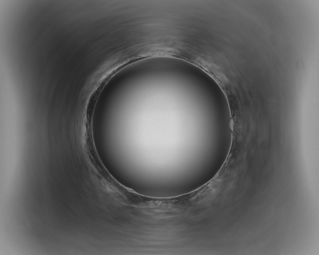 X0000114600338200910191623