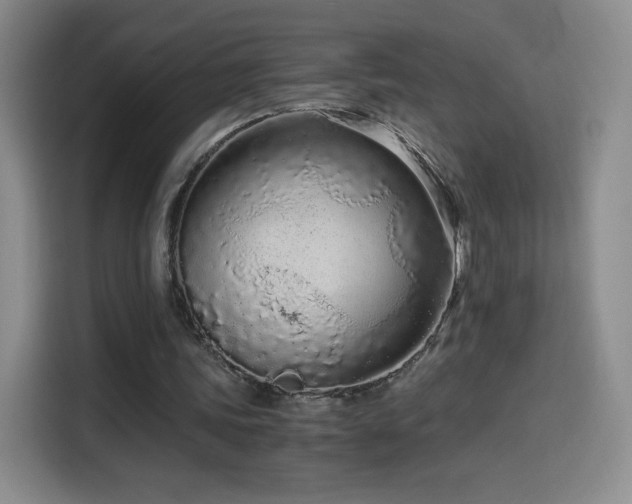 X0000114600339200910191623