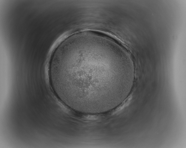 X0000114600341200910191623