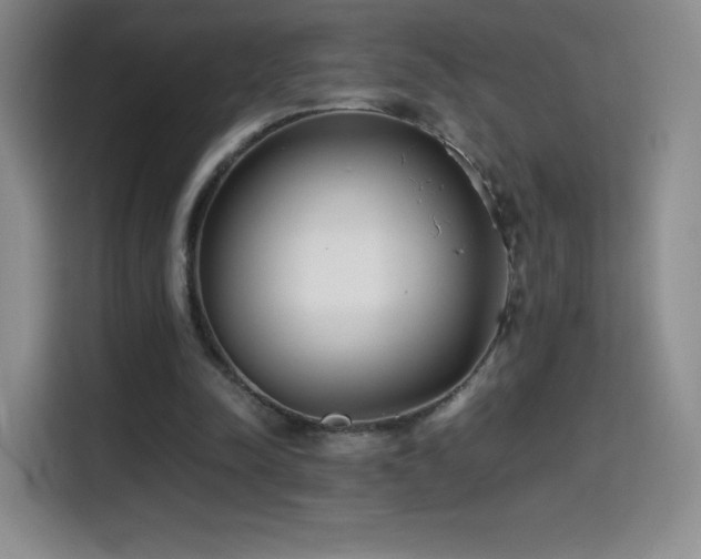 X0000114600342200910191623