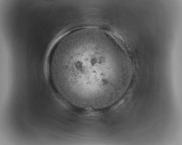 X0000114600343200910191623