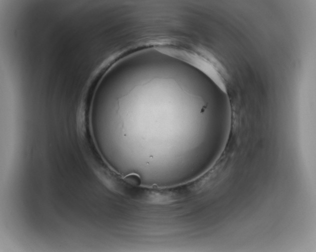 X0000114600346200910191623