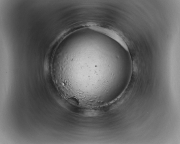 X0000114600347200910191623