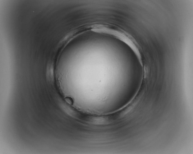 X0000114600349200910191623