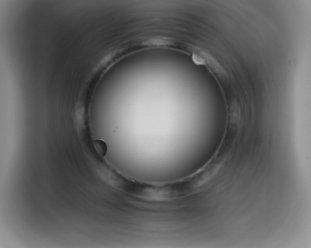 X0000114600351200910191623