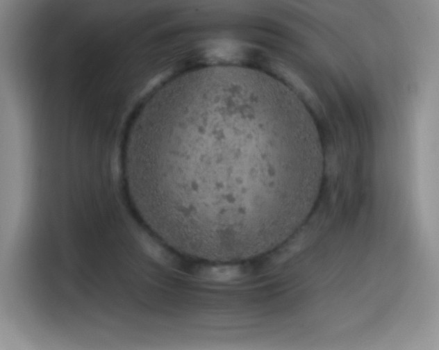 X0000114600353200910191623