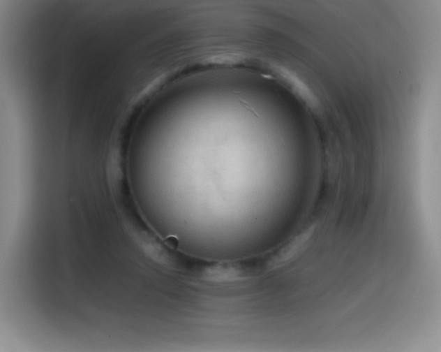 X0000114600354200910191623