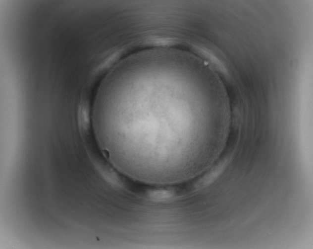 X0000114600358200910191623