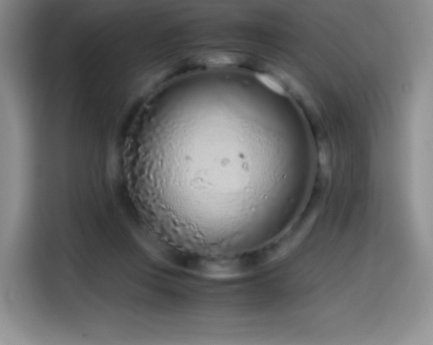 X0000114600359200910191623