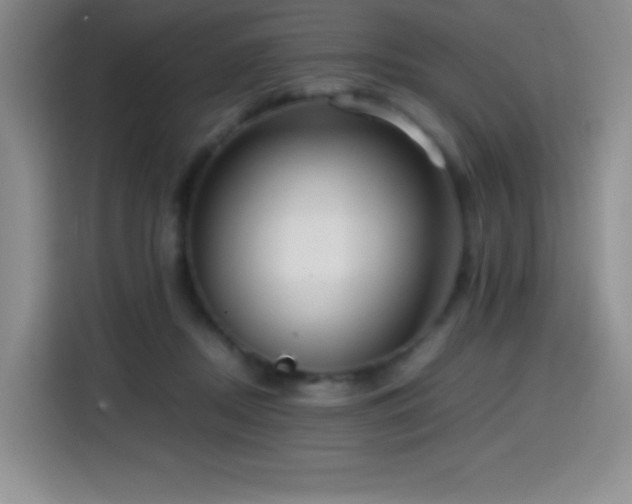 X0000114600362200910191623