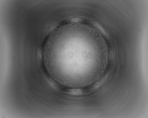 X0000114600363200910191623